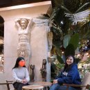 도심속자연나무한의원 | 홍대 코코넛박스카페 쏨언니 후기/ 도심 속 휴양지