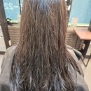 산호동250 이미지