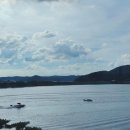 어진로 | [용인 대형 카페] 뷰맛집 물멍 감성 카페 그린 웨일 내돈내산 방문 후기☕️🌿