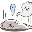 미사고봉손칼국수 - 강동구 구천면로 237-1 | 미사고봉손칼국수