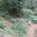 창원 안골왜성 이미지