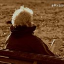 동부노인전문요양센터 | 홍익동요양원 동부노인전문요양센터 전문 요양 서비스 제공