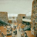 비상 태권도장 이미지