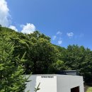 평창PC | 평창 휘게포레스트 캠핑장 후기(B2사이트)｜N번째 재방문한 인생 캠핑장 🏕️