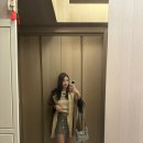 [한국방문] 연말 결산✨ 연말에 뭐했나.. 2024 마무리, 상해 출장, 에바항공&amp;아시아나 비즈니스, 웨스틴...