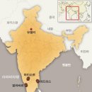 인디아커피 네이버블로그
