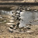 솔뫼식당 이미지