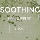 보스호프 이미지