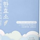블루베리랩스