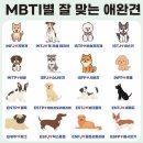 MBTI 어울리는 애견~!(애견 사진 있음 주의!!!) 이미지