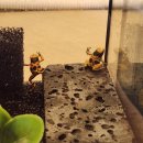 와우(양산점) 이미지