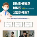 세종안과 이미지