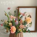 모앙MOANG | 신당동꽃집 모앙플라워 가격 위치 영업시간