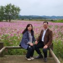 마임소망지사 이미지