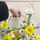 무무플라워 | 동탄 디어리플라워스튜디오 내돈내산 추천 후기