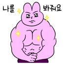 메인스포츠클럽 이미지