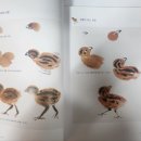 이화문고 이미지