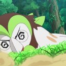 썬 하우 이미지