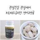 웰리뉴 이미지