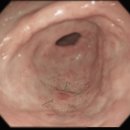 초록내과의원 이미지