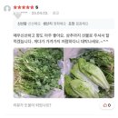 나주농장 | 싱싱한 동남아야채 고수 1kg • 태국 베트남 요리 고수장아찌 만드는 법 전남 나주 농장 직송