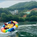 고고크라운 이미지