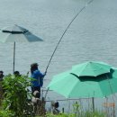 만수낚시터 이미지