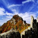 가야산약국 이미지