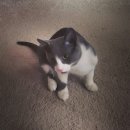 그림치과기공소 이미지