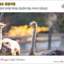 청성2목장 이미지