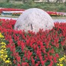 88행정사사무소 이미지