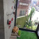 캣츠살롱 이미지