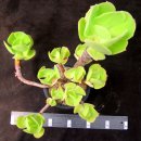 상학농장 이미지