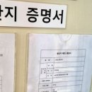 신토불이 | 속초관광수산시장 옹심이: 신토불이 옹심이 내돈내산 후기