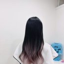하치붙임머리 이미지