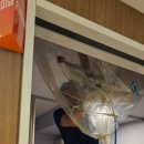 파랑토탈케어 이미지