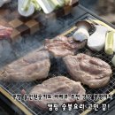 신비불닭발 | 캠핑 숯불요리 고민 끝! 쿡캠 올인원숯키트 바베큐 추천 감성 불멍까지