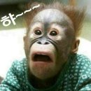일본어강좌 이미지