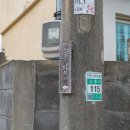 신흥늦장 이미지