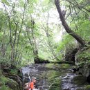 재박이네 이미지