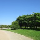 센트럴파크(관리동) Daum카페