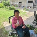 혹서기 식생활용품 (착한바람 캠페인)전달 이미지