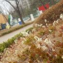 중3동우체국 이미지