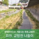 교방천 이미지