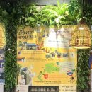 씨유방배카페커리점 | 태국 가고 싶을때 찾아가는 방배 카페골목 맛집 태국음식 찐 맛집, 쏘이 313