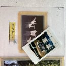 레코드비 | 가볼만한곳] 성산일출봉 뷰 감성 LP 카페 '월간레코드' 비오는 날 제주도 실내 데이트 추천 (워크인...