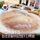 인애수족관 | 속초 횟집 추천｜청초호 활어회센터 나룻배 회포장 솔직 후기