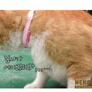 그루밍 이미지