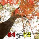 짝지