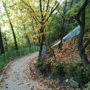 보라매 4호(정문) Daum카페